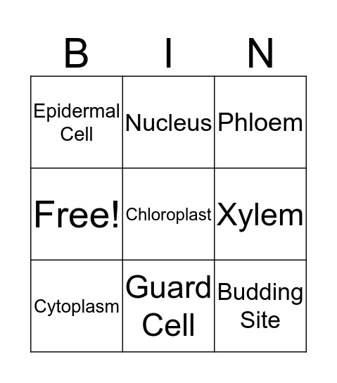 Microscopes Internal Bingo Card