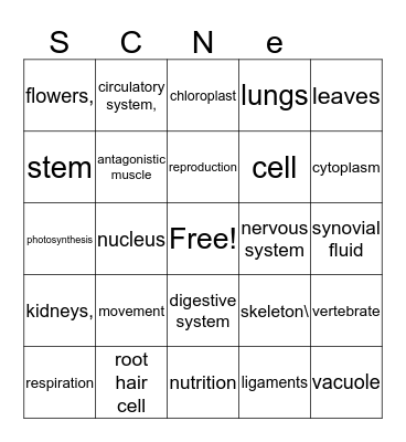 Science Vocabulary Bingo Card