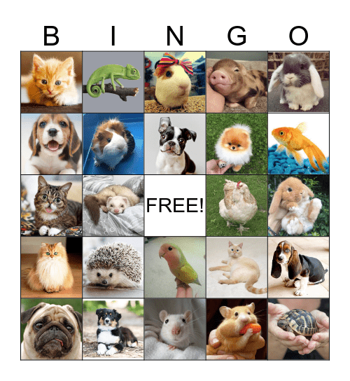 pet-bingo-card