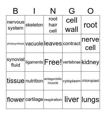 Science Vocabulary Bingo Card