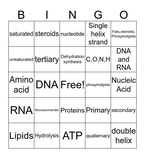 A+P BINGO 2 !!! Bingo Card