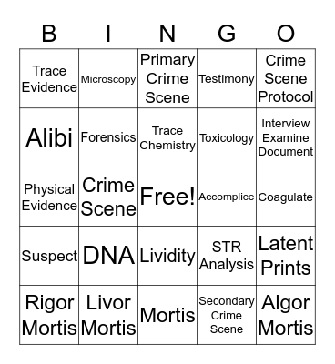 Crime Scene BINGO  Bingo Card