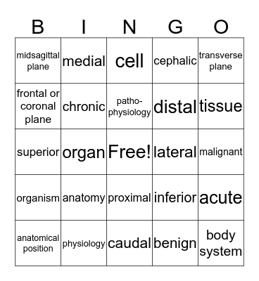Chapter 1 Bingo Card