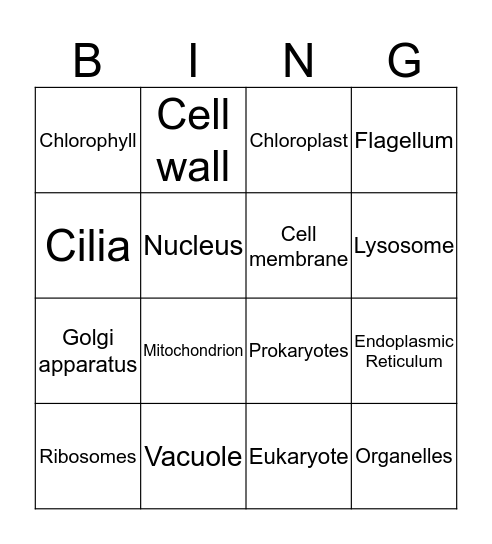 Cell Bingo  Bingo Card