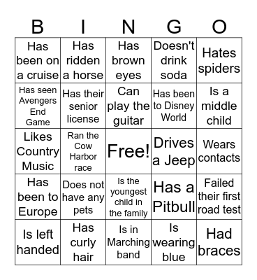 ICEBREAKER BINGO Card