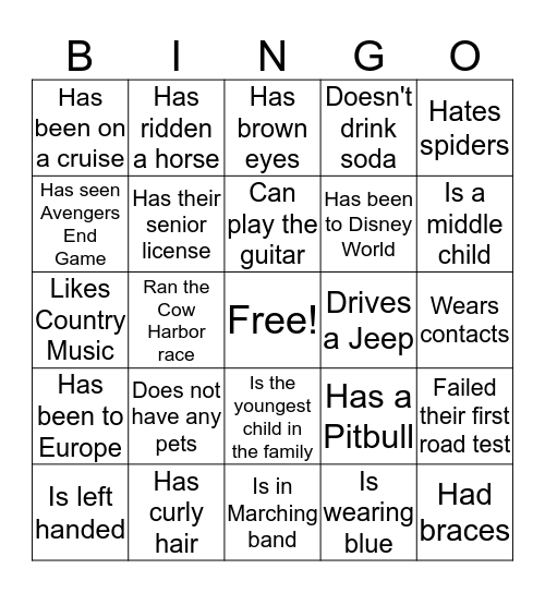 ICEBREAKER BINGO Card