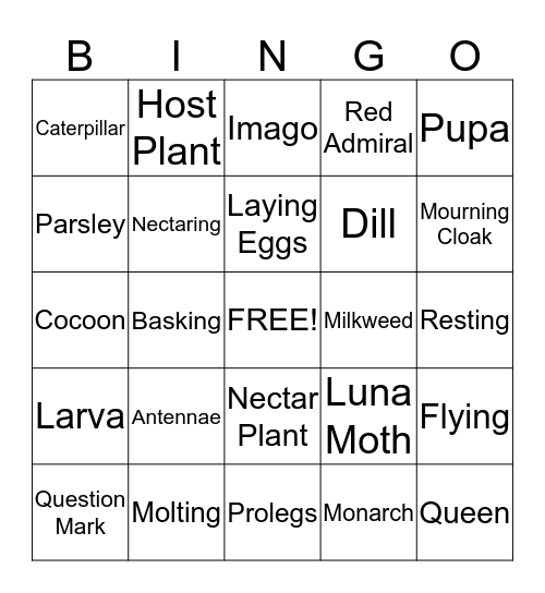 Butterfly Bingo Card