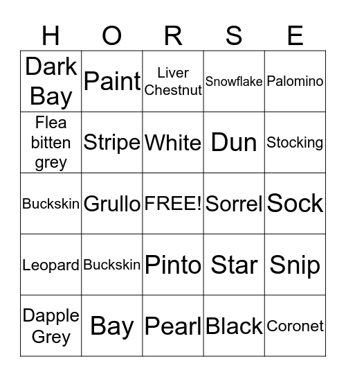 Colors and Patterns Bingo Card