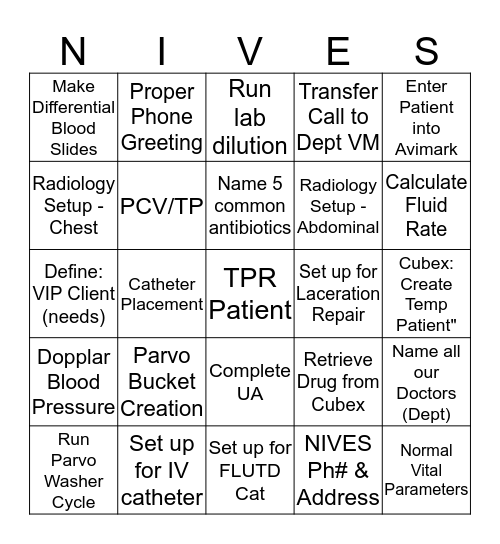 NIVES Training Bingo! Bingo Card