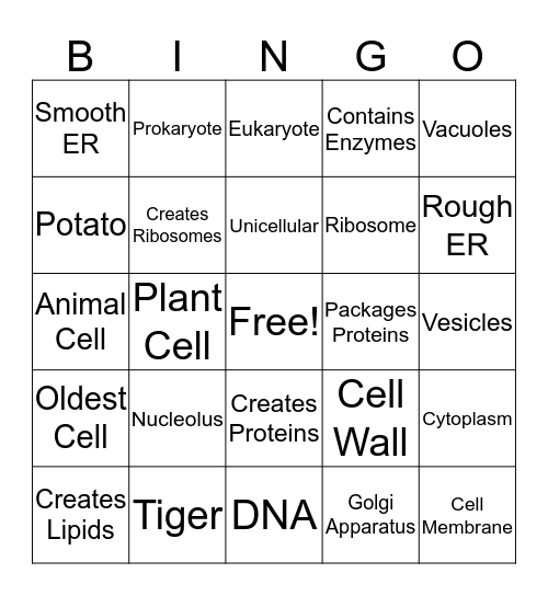 Cell Organelle Bingo Card