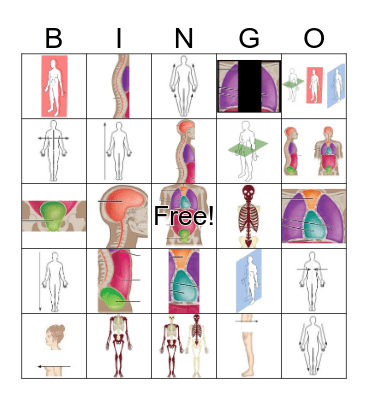 Body Perspectives Bingo Card