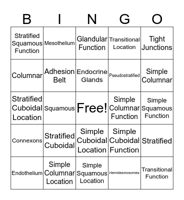 Epithelial Cells Bingo Card