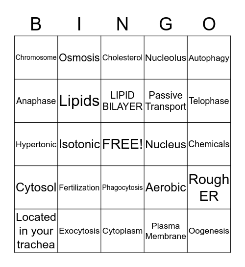 CELLS Bingo Card