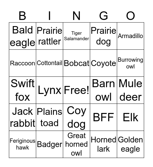 Prairie Bingo Card