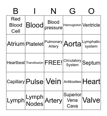 Circulatory, Blood, Lymph Bingo Card