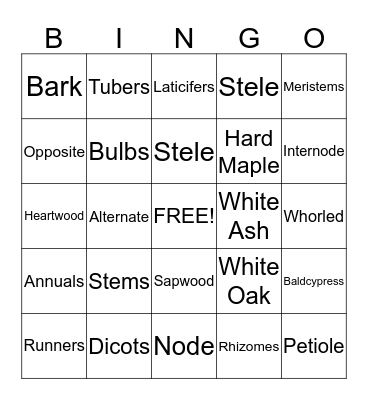 Stems of Plants Bingo Card