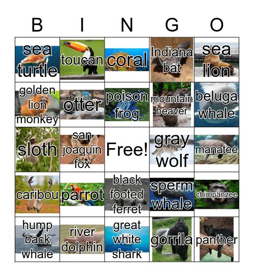 Endangered Animals Bingo Card
