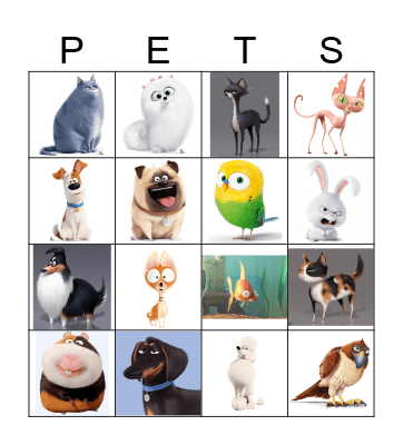 ANIMAL BINGO Card