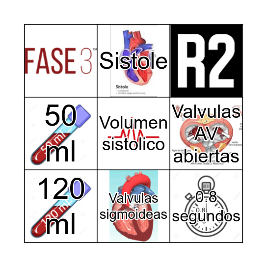 CICLO CARDIACO Bingo Card