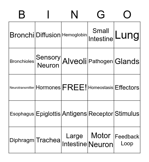 Respiratory System and Other Systems Review Bingo Card