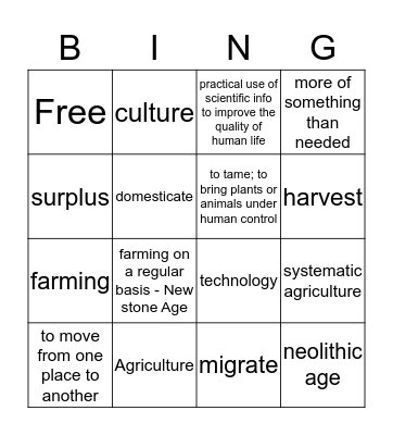 Neolithic age Bingo Card