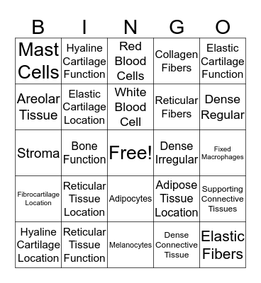 Connective Tissue Bingo Card