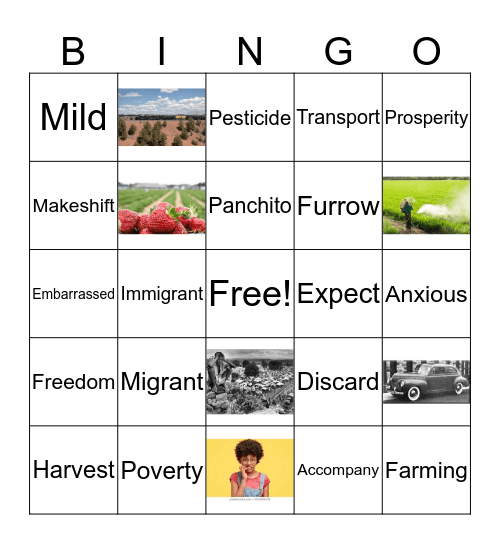 The Circuit Vocabulary Words Bingo Card