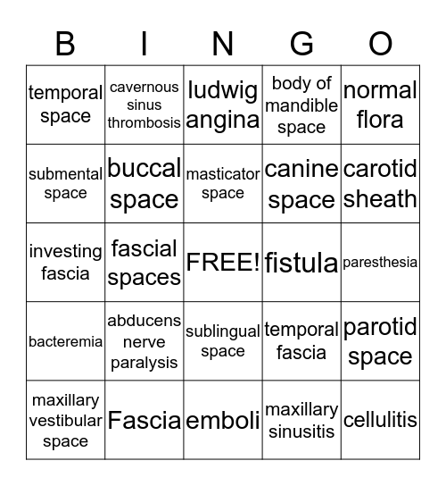Fasciae and Spaces & Spread of Infection Bingo Card