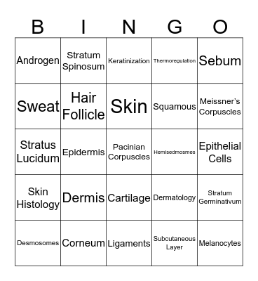 Integumentary System  Bingo Card