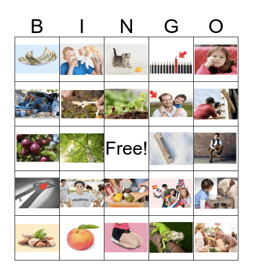 Reading Ace Starter 3 Unit 1-3 Bingo Card