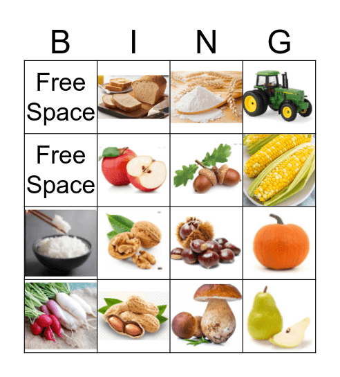 Harvest Food Bingo Card
