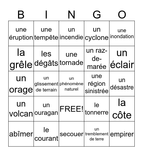 French III 7.1 Vocabulary Bingo Card