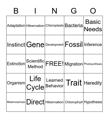 Science BINGO  Bingo Card