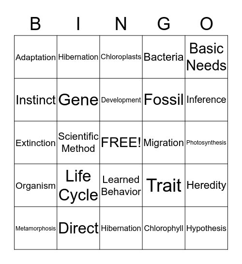 Science BINGO  Bingo Card