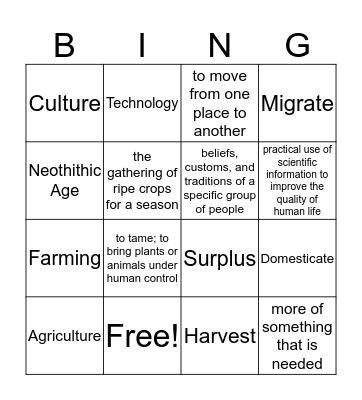 Social Studies - Neolithic Age / Agricultural Revolution Bingo Card