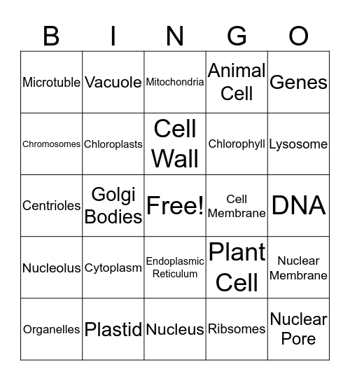 Parts of the Cell Bingo Card