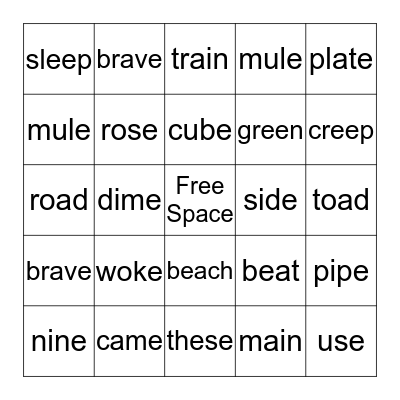 CVVC and CVCe words Bingo Card