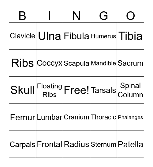 Skeletal System Bingo Card