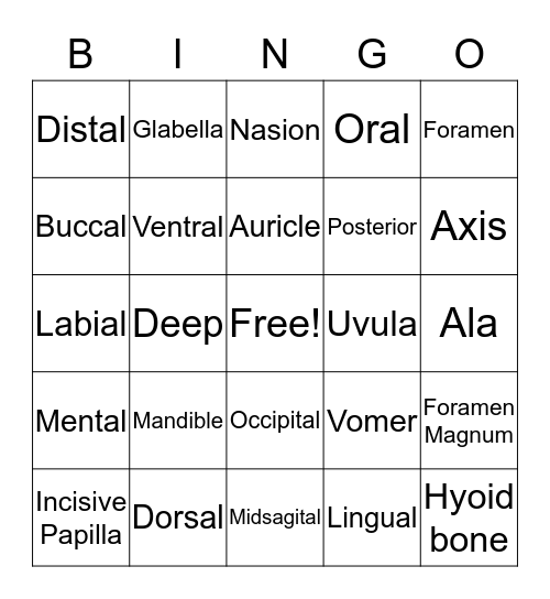 Head & Neck Anatomy Bingo Card