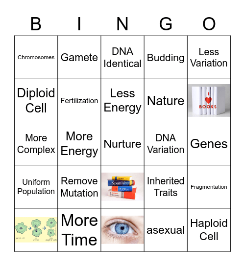 Mrs. Hudson's Review BINGO Card