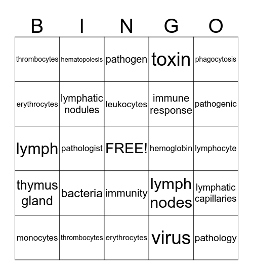 Chapter 11-Blood and the Lymphatic System Bingo Card