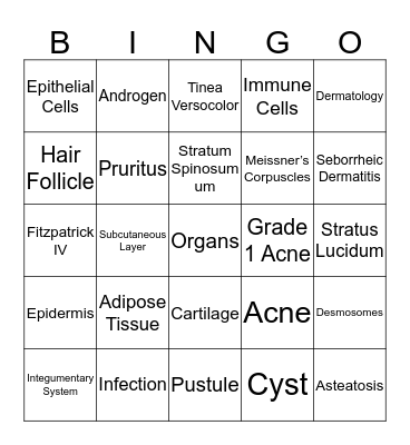 Integumentary System  Bingo Card