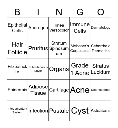 Integumentary System  Bingo Card