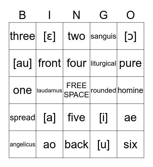 Latin Vowels Bingo Card