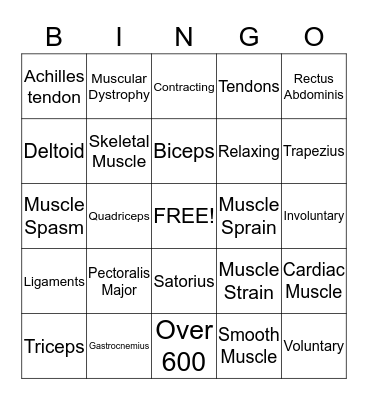 Muscular System Bingo Card