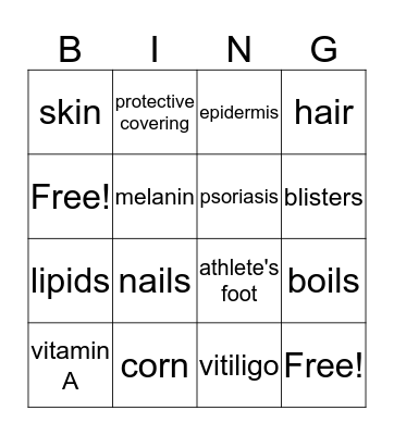 intergumentary system Bingo Card