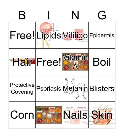 Integumentary System Bingo Card