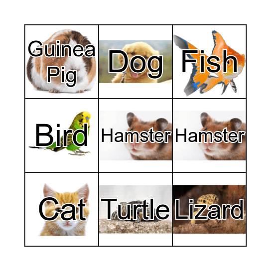 Animal Bingo Card