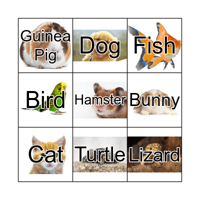 Animal Bingo Card