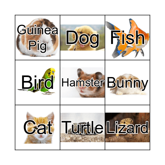 Animal Bingo Card
